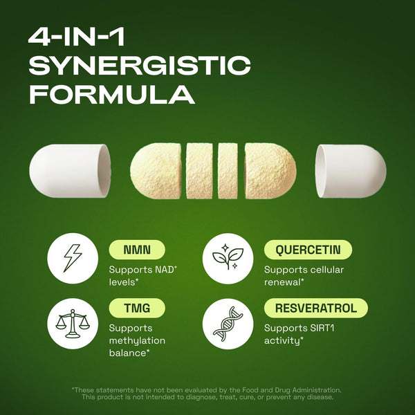 Energize & Renew Supplement